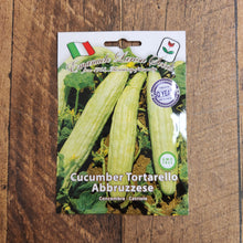 Cucumber 'Tortarello Bianco Abruzzese'