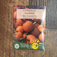 Organic 'New England' Pumpkin Pie