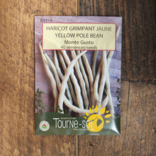 Organic 'Monte Gusto' climbing bean