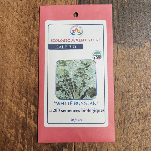 Organic 'White Russian' Kale