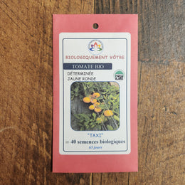 Organic yellow tomato 'Taxi'