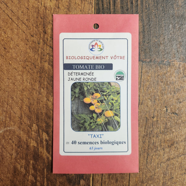 Tomate jaune 'Taxi' bio