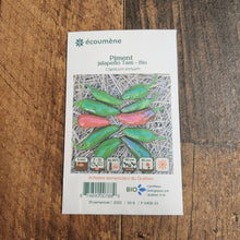 Organic 'Jalapeno Tam' Hot Pepper