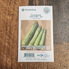 Organic 'Genovese' Zucchini