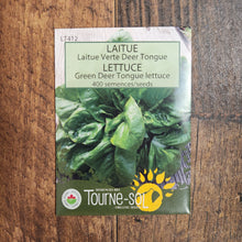 Organic 'Deer Tongue' green lettuce