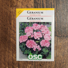 Geranium 'Maverick Pink'