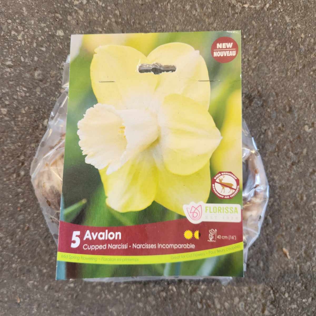 Narcisse Avalon ( Narcissus ) : un sachet posé sur le sol et illustré d’un narcisse jaune pâle et blanc. La présentation montre l’emballage avec une illustration du produit et son nom imprimé sur l’étiquette. Les informations sont regroupées sur la face visible, tandis que la photographie met en évidence le contenu ou la plante illustrée. Cette vue vous aide à reconnaître le produit présenté et son conditionnement.