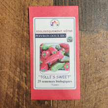 Poivron rouge italien 'Tolli's Sweet' bio