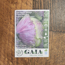 Red Cabbage 'Marabel' organic