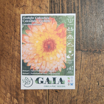 Calendule 'Zeolight' bio