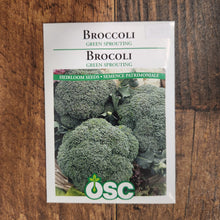 Broccoli 'Green Sprouting'