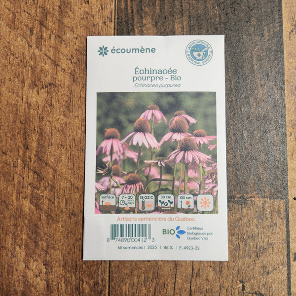 Échinacée Pourpre bio
