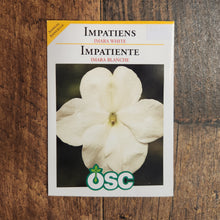 Impatiente 'Imara XDR White'
