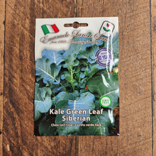 Kale 'Green Leaf Siberian'