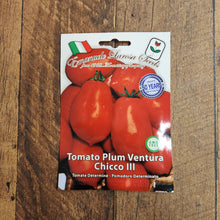 Chicco 'Ventura n°3' Tomato