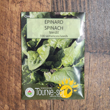 Organic 'Verdil' spinach