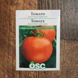 Tomato 'Bonny Best Improved'