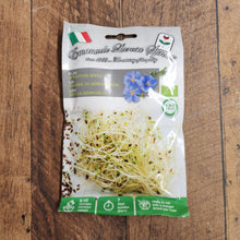 Flax sprout