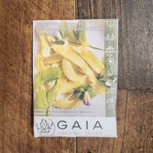 Snow peas 'Golden Sweet' organic