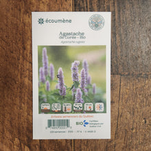 Sachet de semences Agastache de Corée. Emballage blanc photographié de face sur un fond de bois brun. Une image du végétal occupe la partie centrale, sous le nom imprimé. De petits pictogrammes et un code-barres apparaissent au bas du sachet. La marque Écoumène figure dans la partie supérieure de cette présentation.
