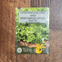 Regal Oak Green Oak Leaf Lettuce