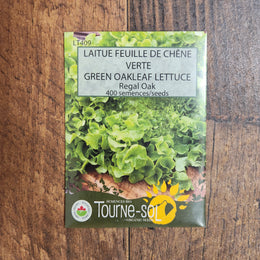 Laitue feuille de chêne verte 'Regal Oak' bio