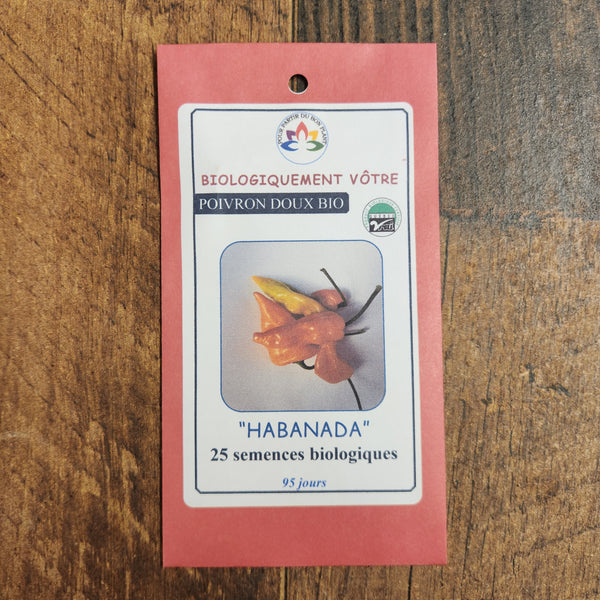 Organic 'Habanada' orange pepper