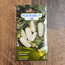 Photographie de Concombre blanc (Cucumis sativus ‘Martini’), sélection proposée en semences W.H. Perron. Le visuel présente l’apparence de la plante ou de sa récolte et permet d’en observer les formes et les couleurs. Cette vue illustre les caractéristiques visibles de la sélection, dans une présentation destinée à accompagner son identification et à montrer son intérêt au jardin.
