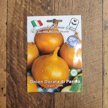 Golden onion 'Dorata di Parma'