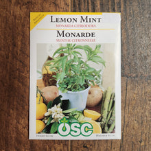  Lemon Bergamot 