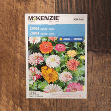 'Candy Cane' Zinnia Mix