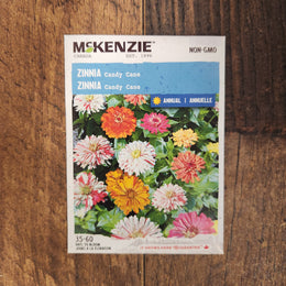 'Candy Cane' Zinnia Mix