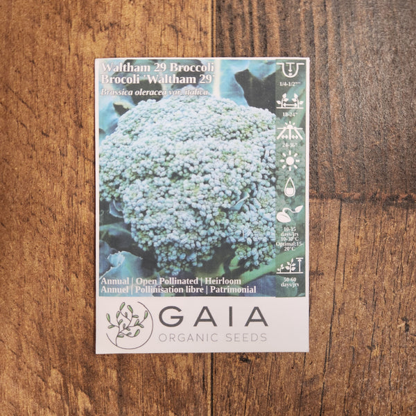 Broccoli 'Waltham 29' 