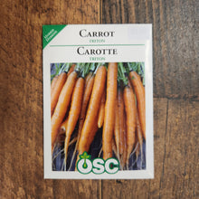 Carrot 'Triton'