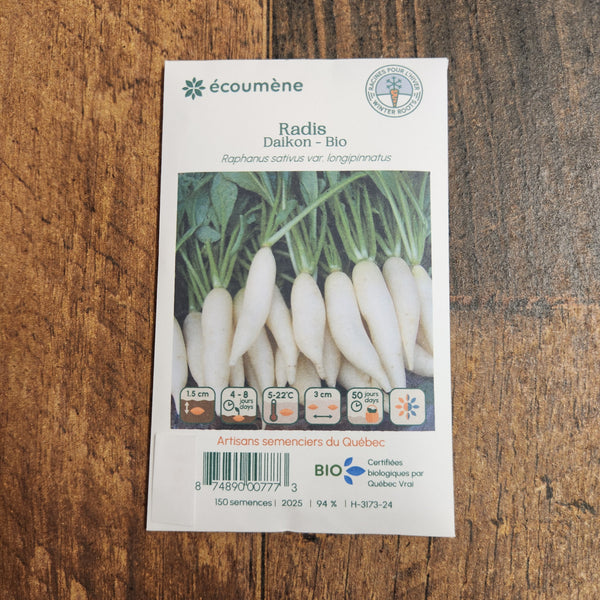 Organic 'Daikon' radish