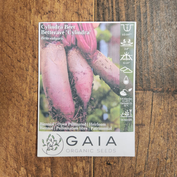 Beetroot 'Cylindra' Organic