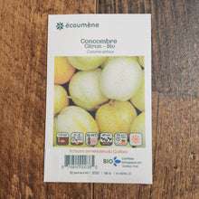Organic 'Lemon' Cucumber