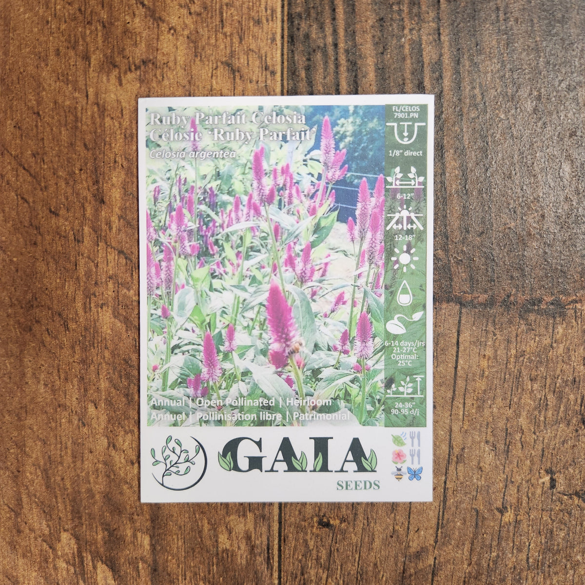 Organic 'Ruby Parfait' Celosia Seeds by Gaia, additional product image for Canadian gardeners.