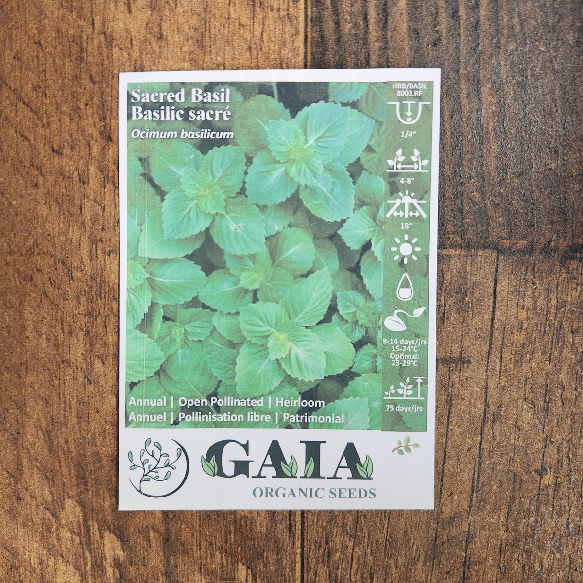 Organic Sacred Basil Seeds by Gaia, additional product image for Canadian gardeners.