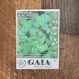 Holy Basil organic