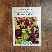 Mesclun 'Mild Mix'