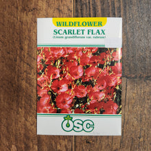 Scarlet Flax