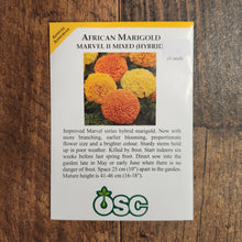 Marigold 'Marvel Mixed'