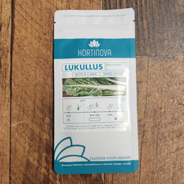 Swiss chard 'Lukullus'