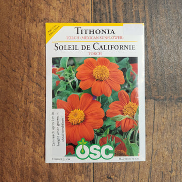  Tithonia 'Mexican Torch' 