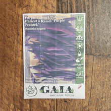 Pole Bean 'Purple Peacock' organic