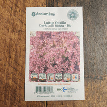 Sachet de semences Laitue Feuille Dark Lollo Rossa. Emballage blanc photographié de face sur un fond de bois brun. Une image du végétal occupe la partie centrale, sous le nom imprimé. De petits pictogrammes et un code-barres apparaissent au bas du sachet. La marque Écoumène figure dans la partie supérieure de cette présentation.