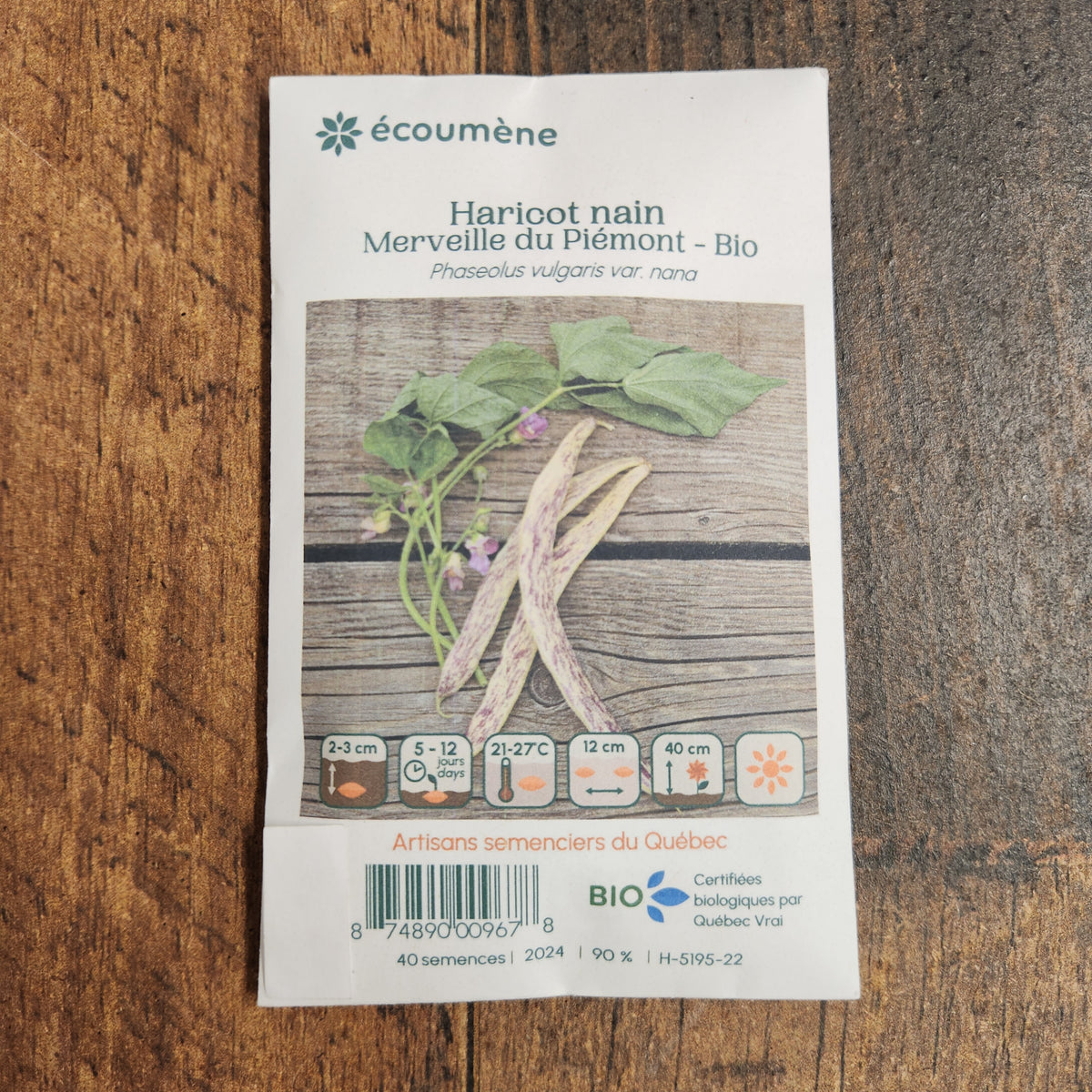 Sachet de semences Haricot Nain Merveille du Piémont. Emballage blanc photographié de face sur un fond de bois brun. Une image du végétal occupe la partie centrale, sous le nom imprimé. De petits pictogrammes et un code-barres apparaissent au bas du sachet. La marque Écoumène figure dans la partie supérieure de cette présentation.
