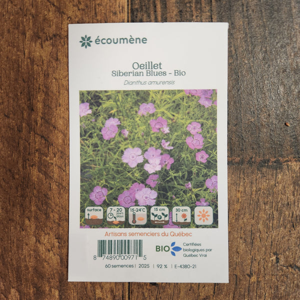 Organic 'Siberian Blues' Carnation