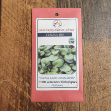 Yukina Savoy bio (<em>Brassica rapa</em> ‘Yukina Savoy’)
